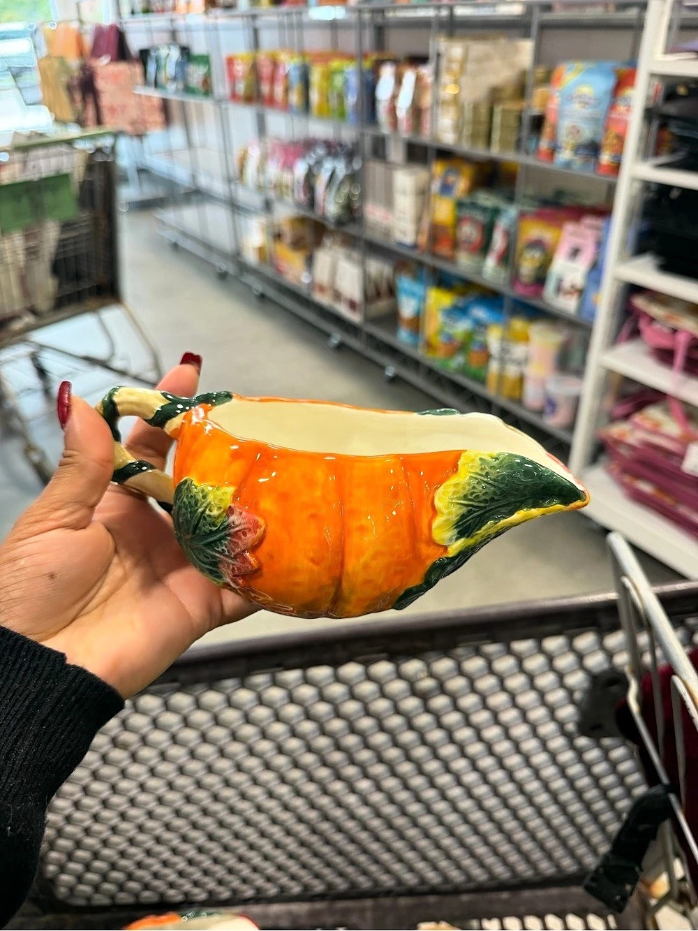Orange Green Decorative Squash